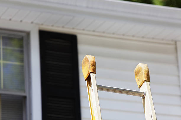 Best Residential Vinyl Siding Installation  in Burlingame, CA